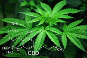 Stop Smoking Cannabis Moncton, NB and Virtual Sessions