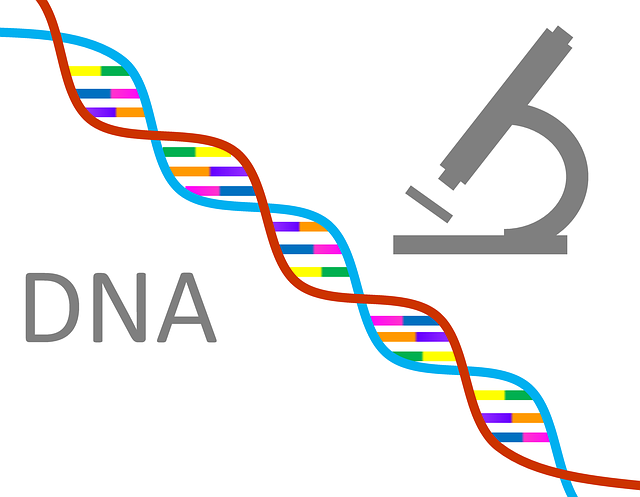 Nutrigenomic DNA Genetic Testing Provider